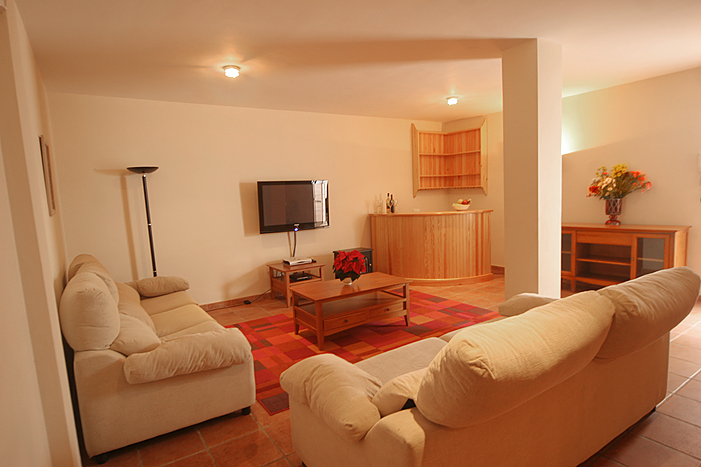 Basement Living Room Casa Sierra(2)